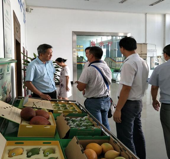 我院助力百色市創建國家級高新區