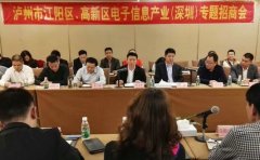 江陽區、瀘州國家高新區在深圳開展專題招商
