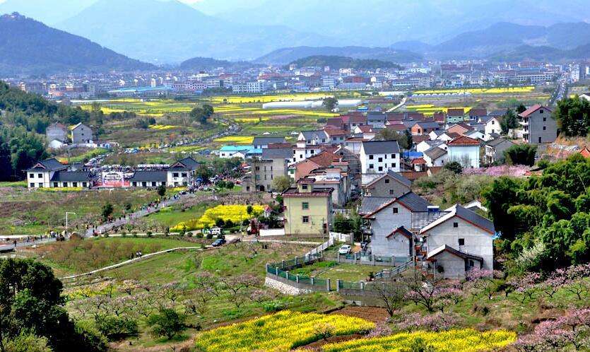 陳文勝：鄉村振興的資本、土地與制度邏輯