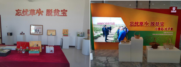 打造農(nóng)業(yè)綠色發(fā)展典范，云州區(qū)創(chuàng)建國家農(nóng)業(yè)綠色發(fā)展先行區(qū)勢(shì)在必行